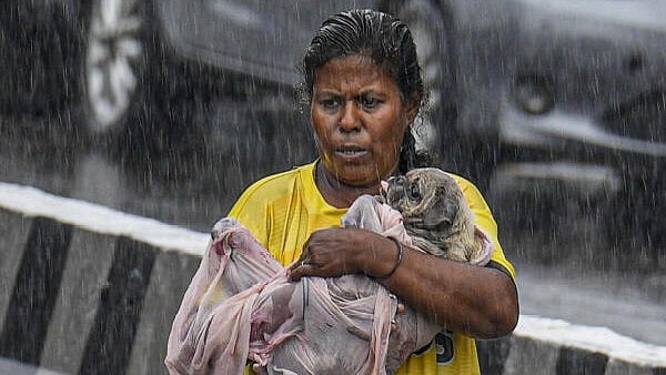 <div class="paragraphs"><p>A woman with a puppy amid rains, in Chennai.</p></div>