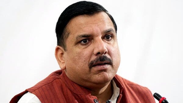 <div class="paragraphs"><p>AAP's Sanjay Singh</p></div>