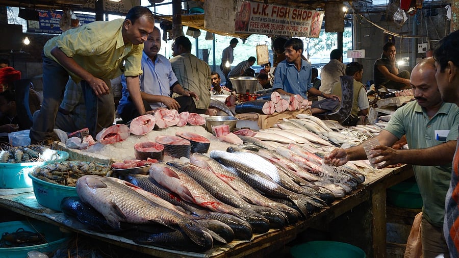 <div class="paragraphs"><p>Fish market. Representative image.</p></div>