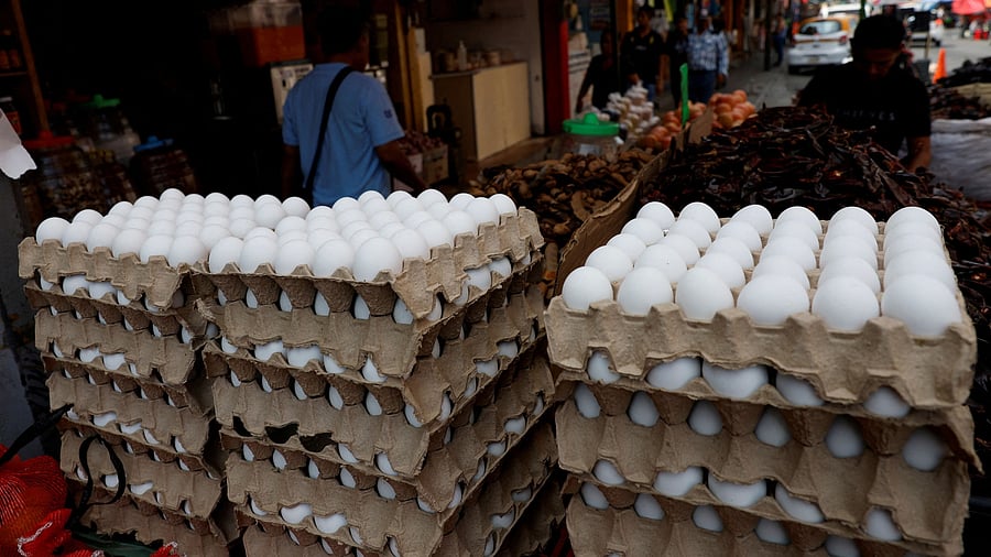 <div class="paragraphs"><p>Representative image showing eggs.</p></div>