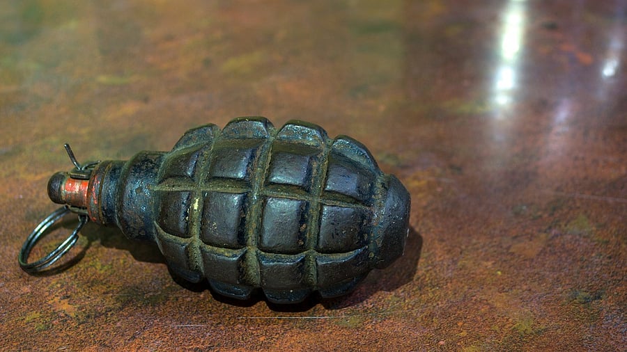 <div class="paragraphs"><p>Image showing a hand grenade. For representational purposes.</p></div>