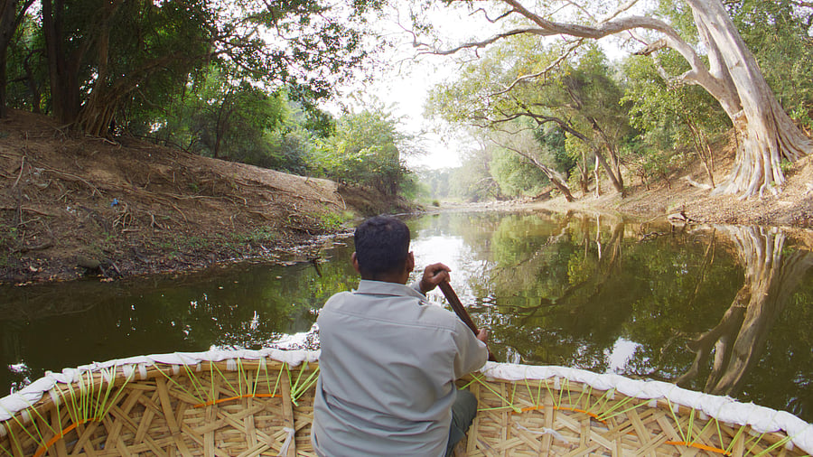 The six-minute video follows a naturalist living in the Cauvery wildlife area.