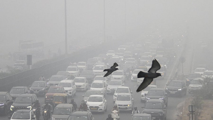 <div class="paragraphs"><p>Vehicles move on the Delhi-Gurugram Expressway amid low visibility due to smog</p></div>