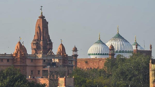 <div class="paragraphs"><p>Shahi Idgah mosque and Shri Krishna Janmabhoomi Temple, in Mathura. (For representational purpose)</p></div>