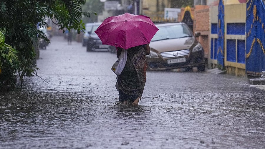 <div class="paragraphs"><p> A pedestrian on a waterlogged street as widespread rains lashed parts of Tamil Nadu amid a warning issued by the IMD, in Chennai.</p></div>