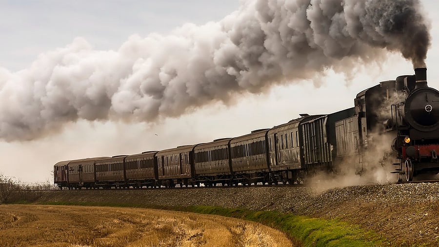 <div class="paragraphs"><p>Years later, my cousins and I would sneak out of our homes to watch the trains pass by.</p></div>