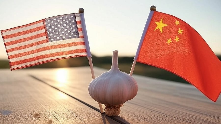 <div class="paragraphs"><p>A garlic between the flags of US and China.&nbsp;</p><p>This image was generated by AI.</p></div>
