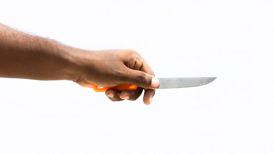 <div class="paragraphs"><p>Representational image only.</p></div>