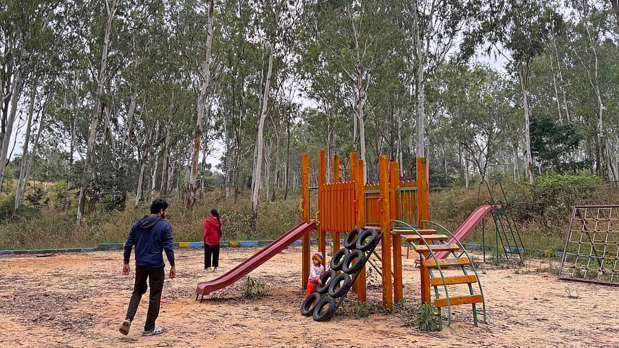 <div class="paragraphs"><p>     As Bengaluru grapples with rising temperatures, pollution, and water shortage, tree parks offer a sustainable solution. A view of the tree park in Turahalli Forest.      </p></div>