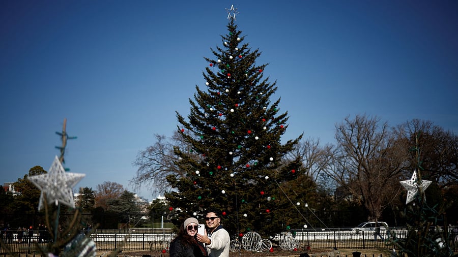 <div class="paragraphs"><p>People take photographs in front of Christmas trees on the Ellipse near the White House in Washington, US.</p></div>