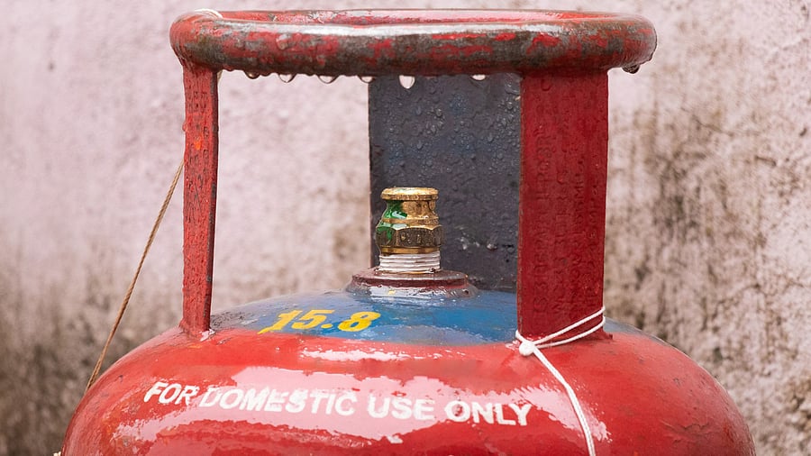 <div class="paragraphs"><p>Image showing an LPG cylinder. For representational purposes.</p></div>