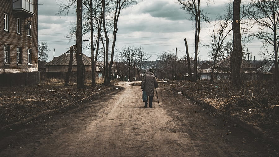 <div class="paragraphs"><p>Image for representation.</p></div>