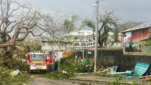 <div class="paragraphs"><p>Trees block a road, in the aftermath of the Cyclone Chido, within Mamoudzou in Mayotte, France.</p></div>