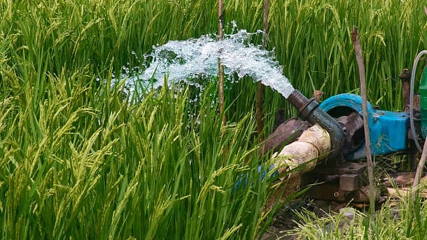 <div class="paragraphs"><p>Image for representation.</p></div>