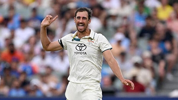 <div class="paragraphs"><p>Australian's Mitchell Starc celebrates after dismissing Indian's Ravichandran Ashwin.</p></div>