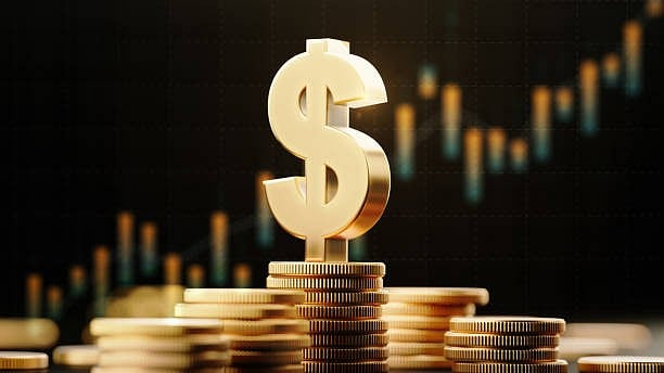 <div class="paragraphs"><p>Image for representation.</p></div>