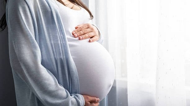 <div class="paragraphs"><p>Image showing a pregnant woman. For representational purposes.</p></div>