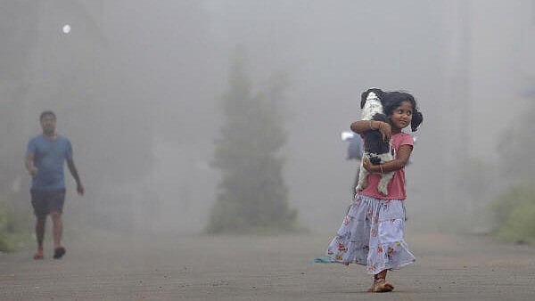 <div class="paragraphs"><p>Fog. Representational purpose </p></div>