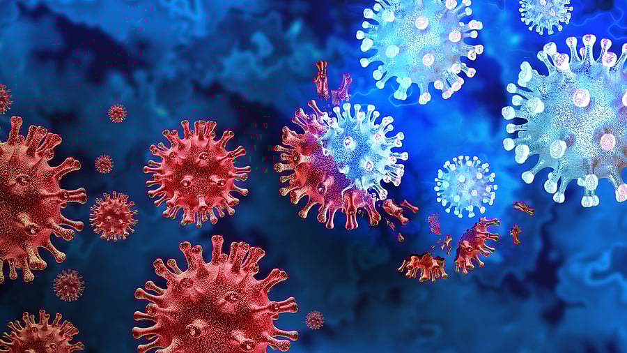 <div class="paragraphs"><p>Image for representation showing a mutating virus.</p></div>