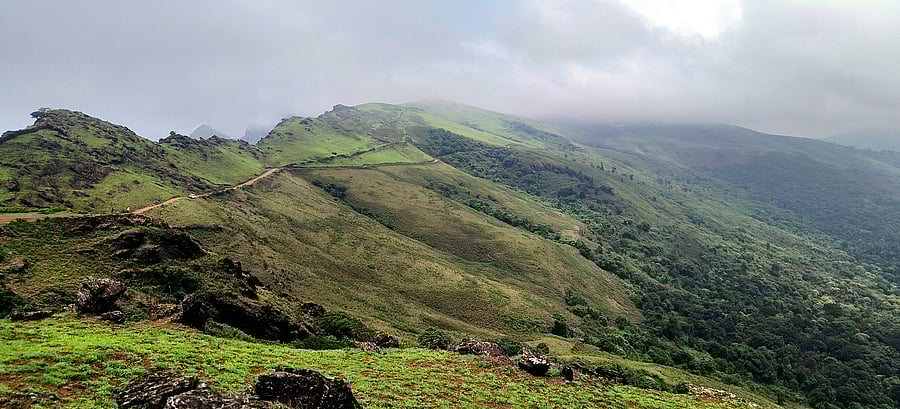 <div class="paragraphs"><p>The green-covered Chandradrona hill range in Chikkamagaluru. </p></div>