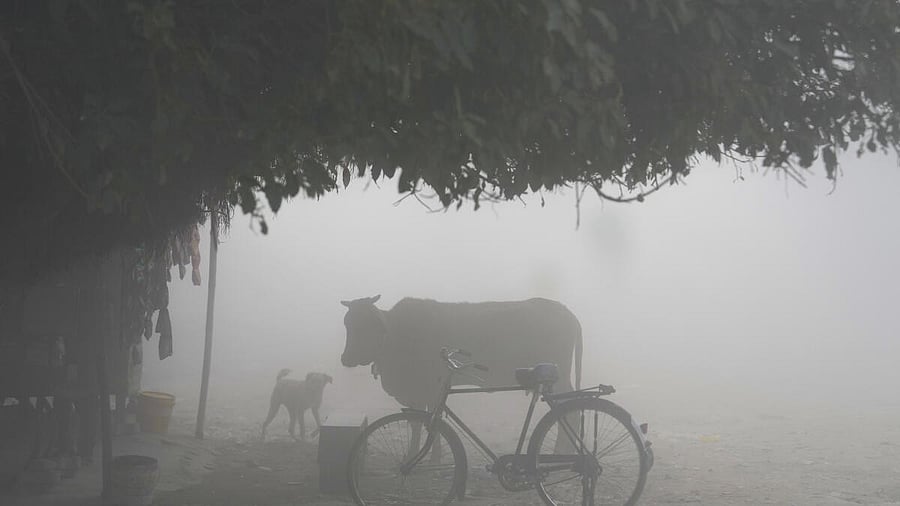 <div class="paragraphs"><p> Intense cold weather conditions continued to grip several areas in Punjab and Haryana on Wednesday.</p></div>