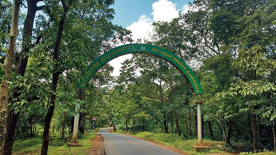 <div class="paragraphs"><p>The 13 settlements within the pristine forest of Bhimgad have 754 families comprising 3,059 people.  </p></div>