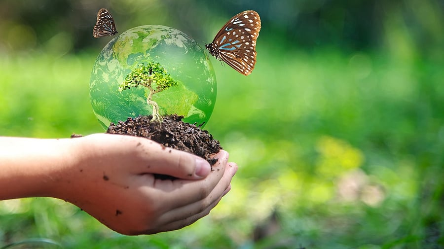 <div class="paragraphs"><p>Representative image</p></div>