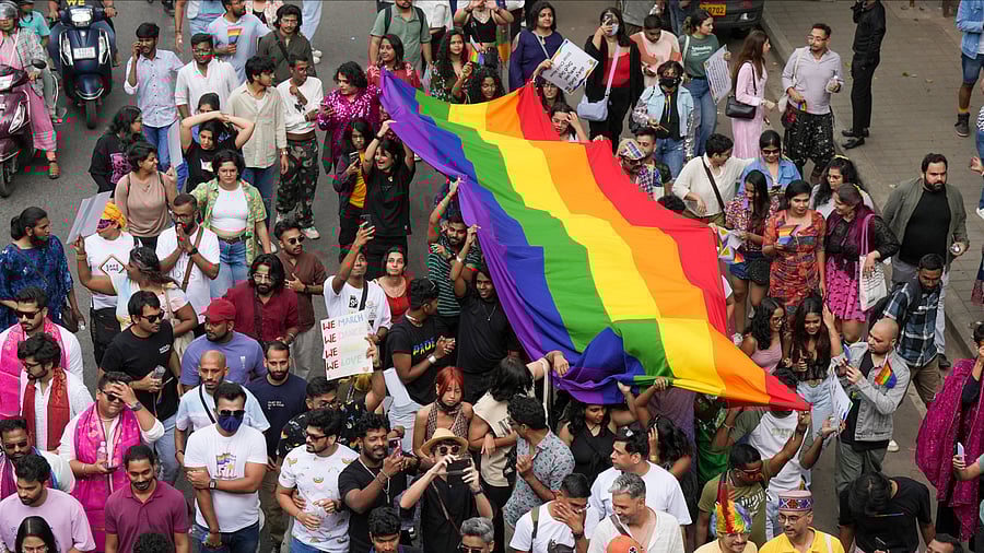 <div class="paragraphs"><p>Bengaluru LGBTQ community members and supporters during the Namma Pride 2024</p></div>