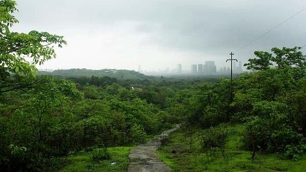 <div class="paragraphs"><p>A view of the Aarey Colony in Mumbai.</p></div>