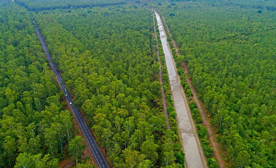 <div class="paragraphs"><p>Rajaji National Park aerial view.</p></div>