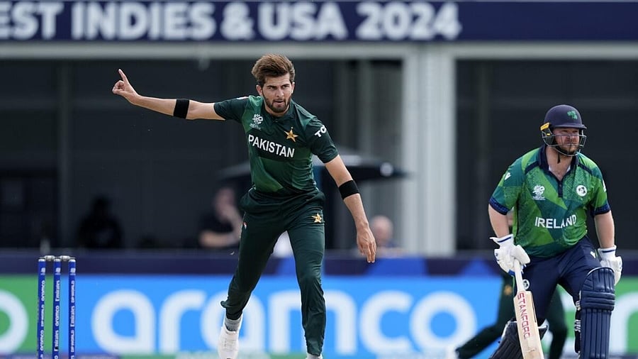 <div class="paragraphs"><p>New Zealand Cricket has sent a delegation to Pakistan to inspect security and other arrangements for a scheduled tri-series in January.</p></div>