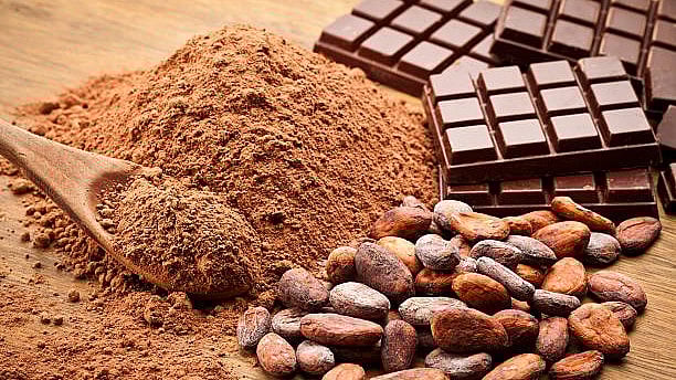 <div class="paragraphs"><p>Representative image of chocolate.</p></div>