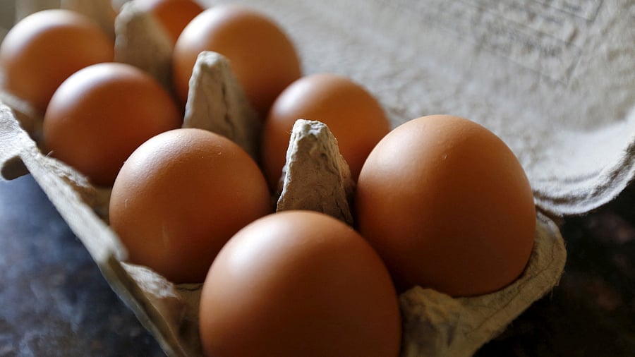 <div class="paragraphs"><p>Representative image of eggs in a carton.</p></div>