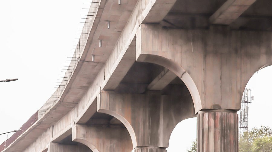 <div class="paragraphs"><p>Representative image</p></div>