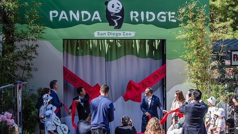 <div class="paragraphs"><p>Chinese officials have sought to use pandas to cultivate relationships, shape policy on Taiwan and soften China’s image abroad, a major goal of Xi.</p></div>