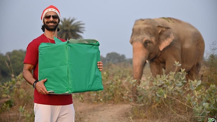 <div class="paragraphs"><p>Ashmit Patel at Wildlife SOS.</p></div>
