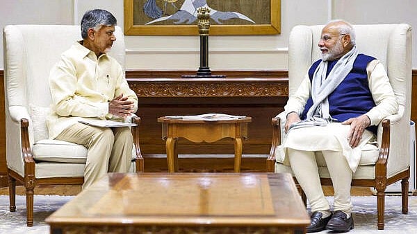 <div class="paragraphs"><p>Prime Minister Narendra Modi with Andhra Pradesh Chief Minister N Chandrababu Naidu during a meeting.</p></div>
