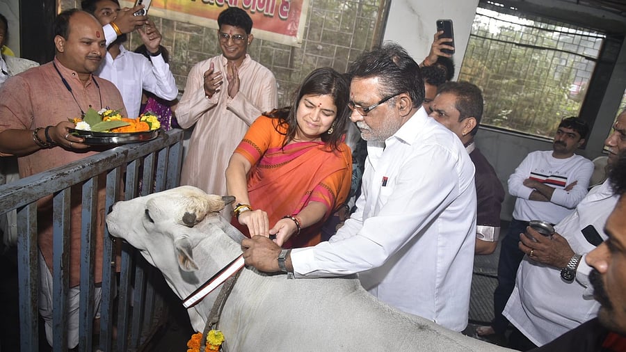 <div class="paragraphs"><p>The kavach has a reflective collar which will save stray cows from road accidents.</p></div>