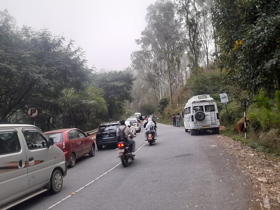 <div class="paragraphs"><p>Cars lined up on the way to Nandi Hills in Chikkaballapur on Wednesday. DH Photo</p></div>