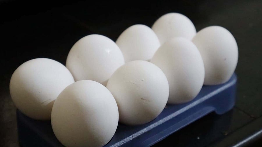 Free egg scheme pinches headmasters' pockets.