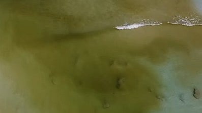 <div class="paragraphs"><p>Screengrab from the video.</p></div>