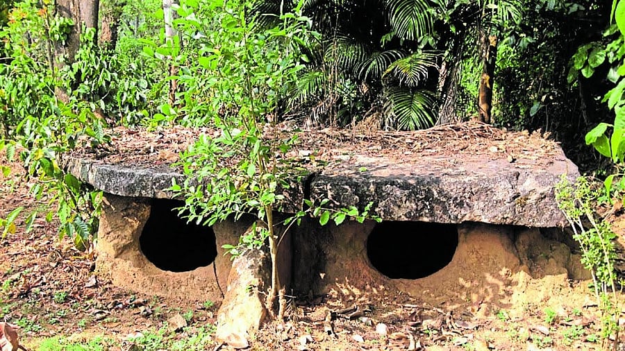 <div class="paragraphs"><p>A transepted dolmenoid cist with portholes near Chickpet, Virajpet taluk, in Kodagu.</p></div>