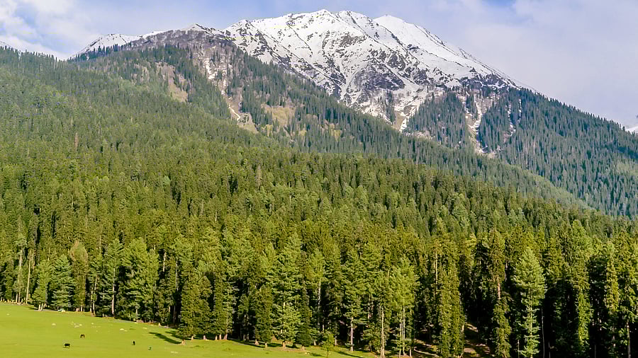 <div class="paragraphs"><p>View of the Kashmir valley. Image for representation.&nbsp;</p></div>