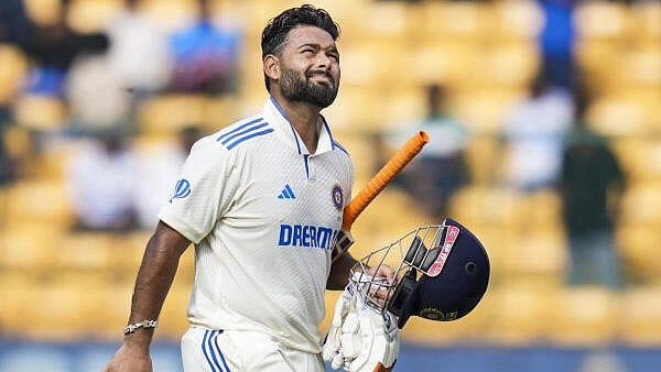 <div class="paragraphs"><p>Indian cricketer Rishabh Pant.</p></div>