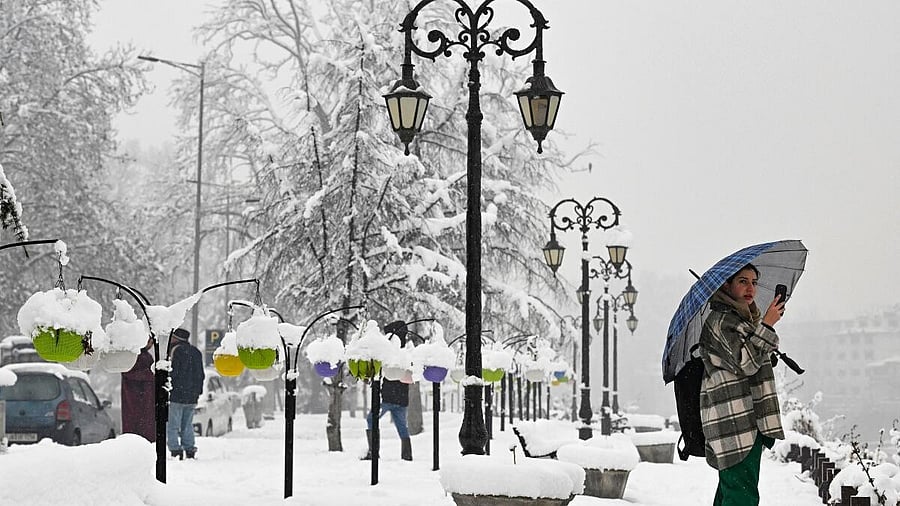 <div class="paragraphs"><p>A woman holding an umbrella uses her mobile phone during winter's first snowfall in Srinagar on December 28, 2024.</p></div>