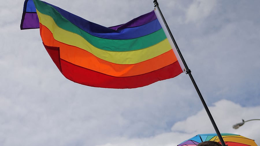 <div class="paragraphs"><p>An attendee holds a rainbow flag at Pride march. (Image for representation) </p></div>
