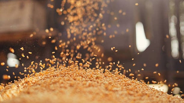 Foodgrain output set to scale new peak in 2025 as farm sector eyes 4% ...