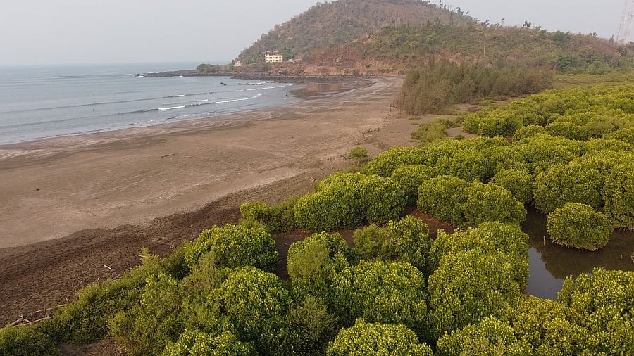 <div class="paragraphs"><p>The ambitious project will also see coastal communities playing an active role in checking the flow of garbage, especially plastic, to the sea.</p></div>
