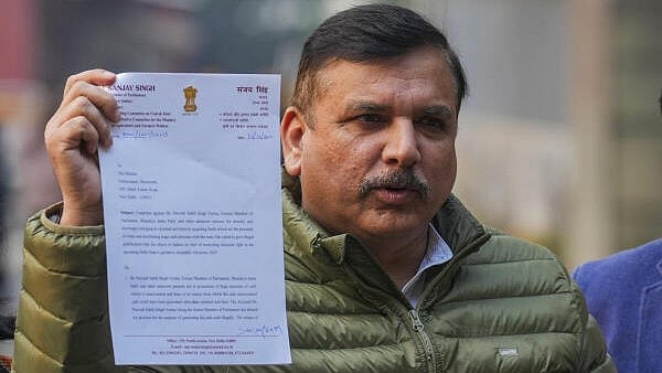 <div class="paragraphs"><p>AAP leader Sanjay Singh</p></div>