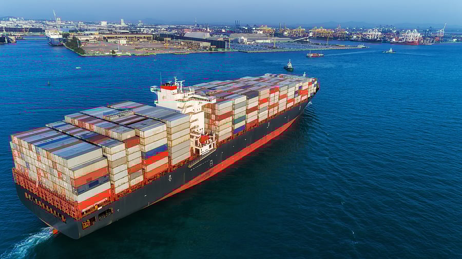 Export-oriented sectors in limelight.